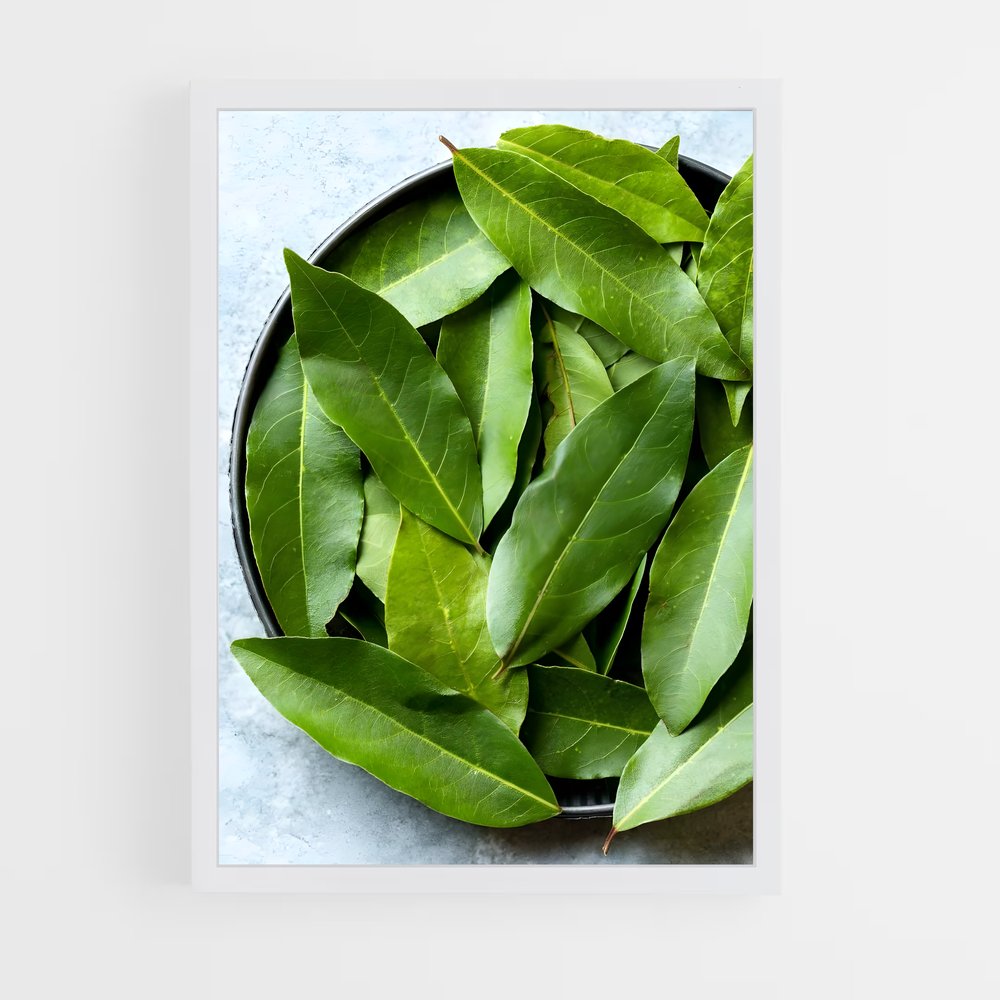 ap-bay leaves-7 cadre Blanc