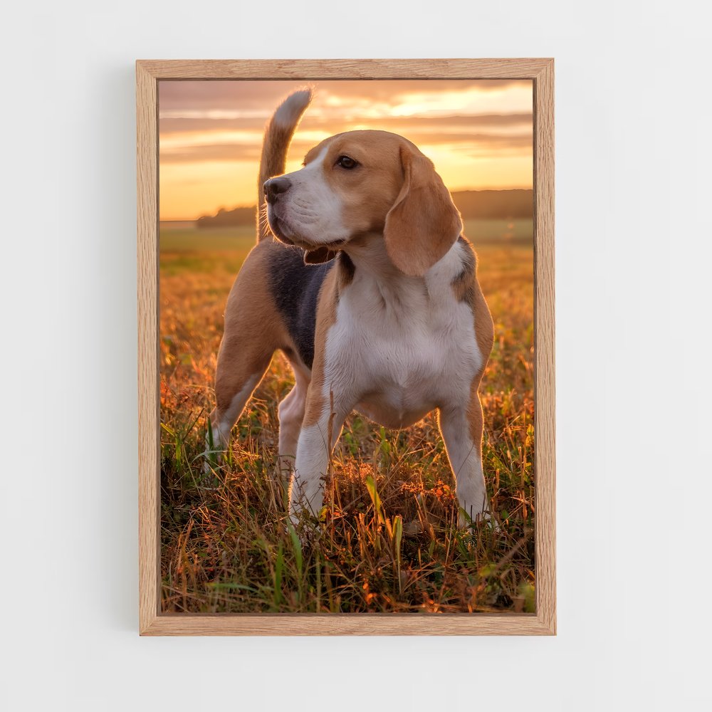 ap-beagle-3 cadre Bois clair