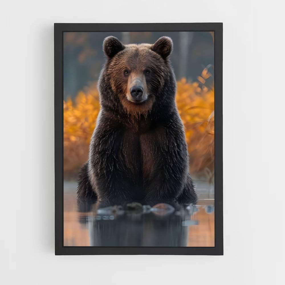 ap-bear-10 cadre Noir