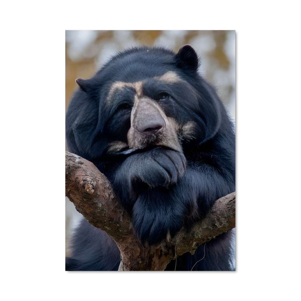 Poster L'Ours des Cimes