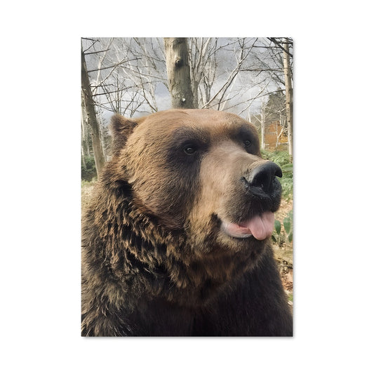 Poster Ours Gourmand