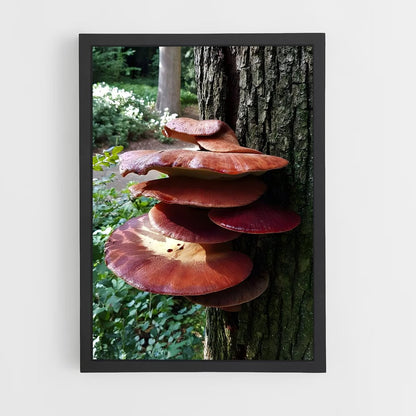 ap-beefsteak fungus-1 cadre Noir