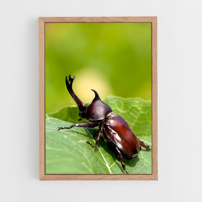 ap-beetle-2 cadre Bois clair