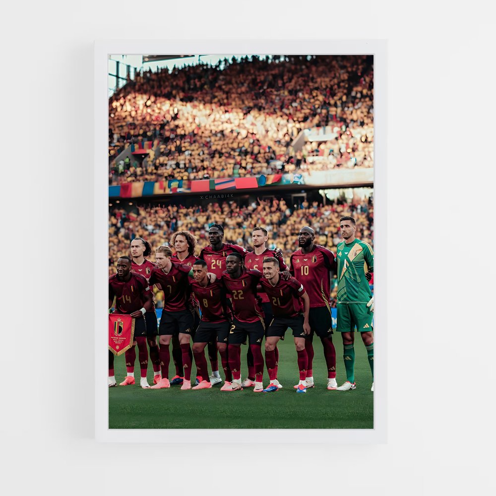 ap-belgium national football team-4 cadre Blanc