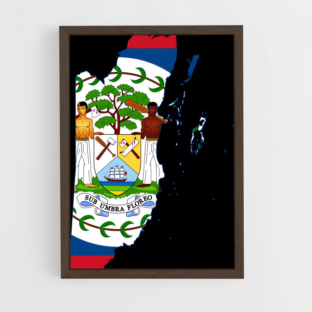 ap-belize flag-2 cadre Bois foncé