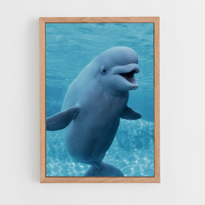 ap-beluga whale-1 cadre Bois clair