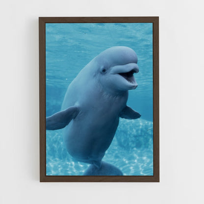 ap-beluga whale-1 cadre Bois foncé