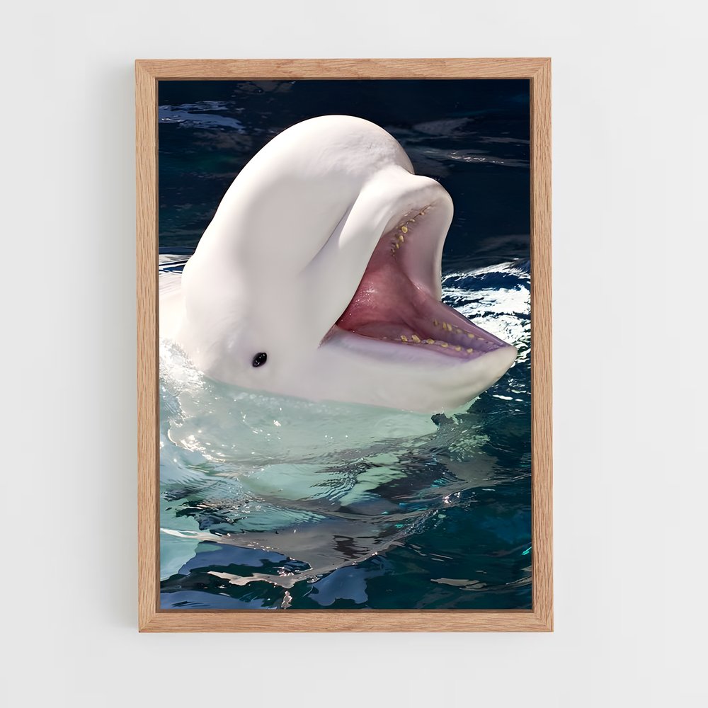 ap-beluga whale-4 cadre Bois clair