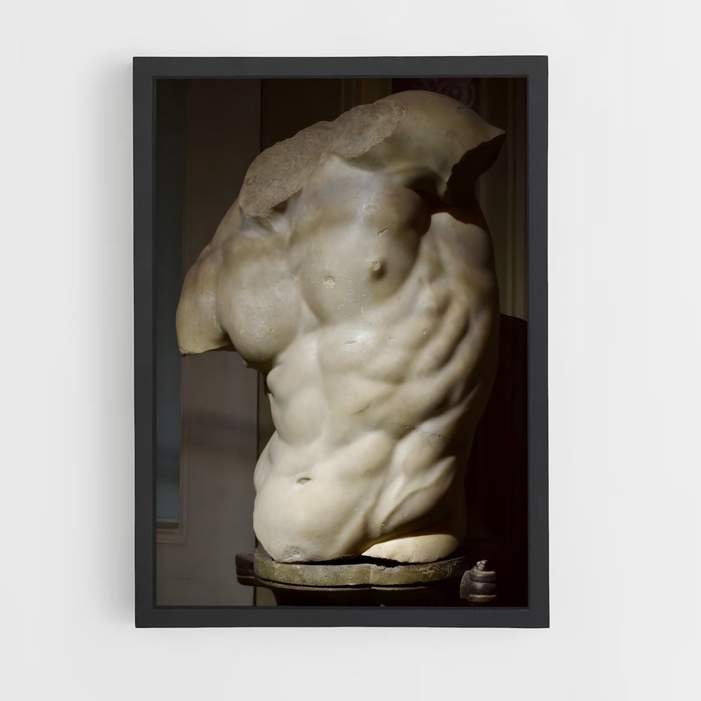 ap-belvedere torso-7 cadre Noir