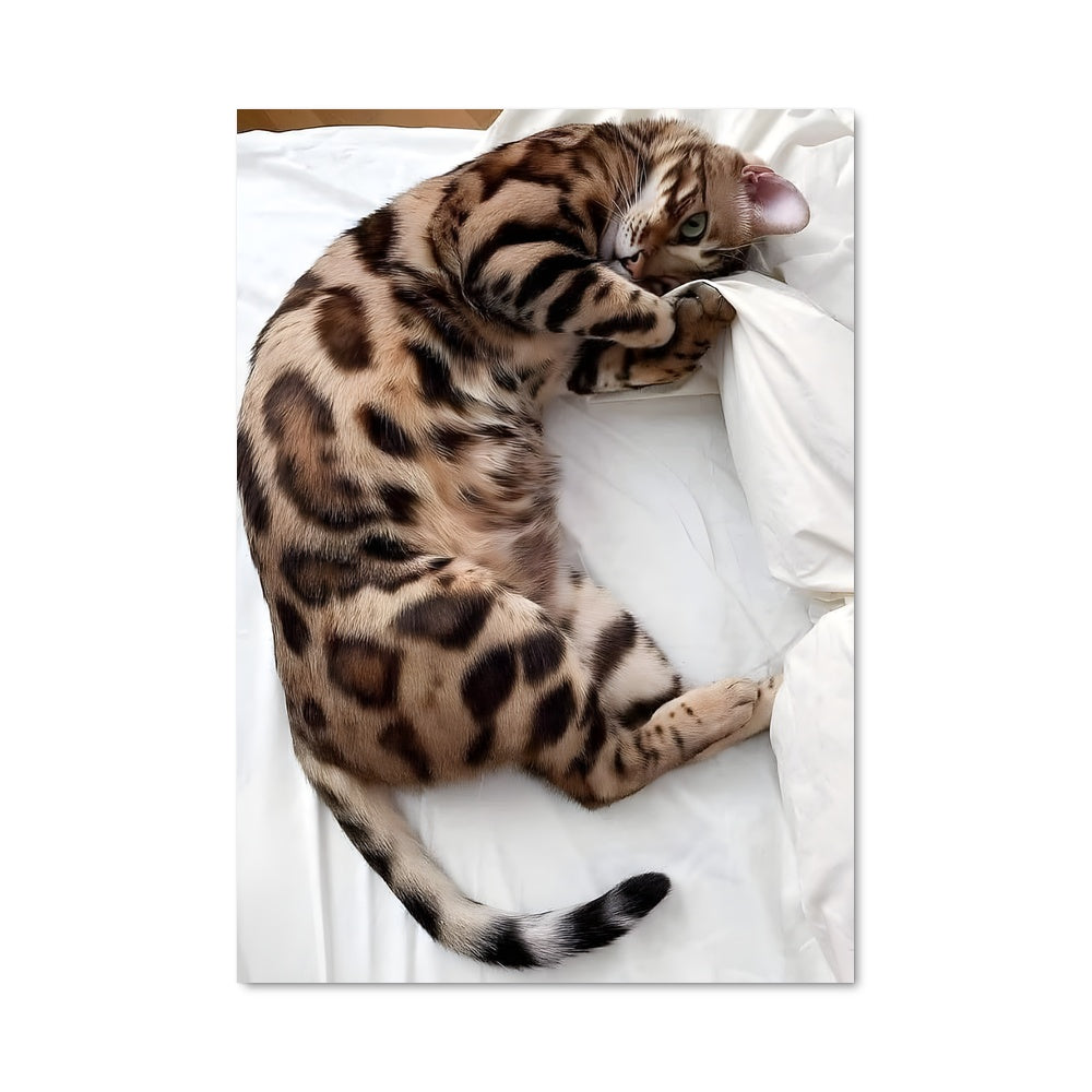 Poster Chat Douillet