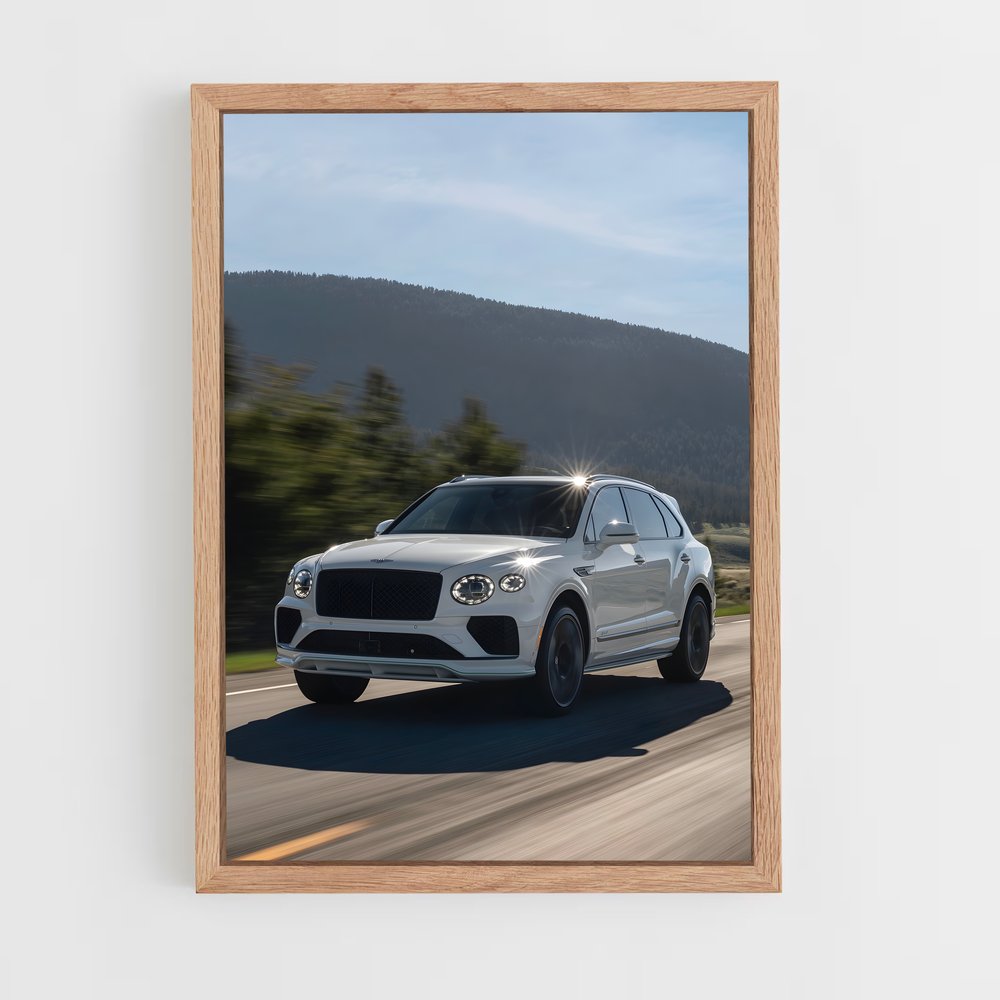 ap-bentayga speed-1 cadre Bois clair