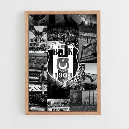 ap-besiktas jk-1 cadre Bois clair