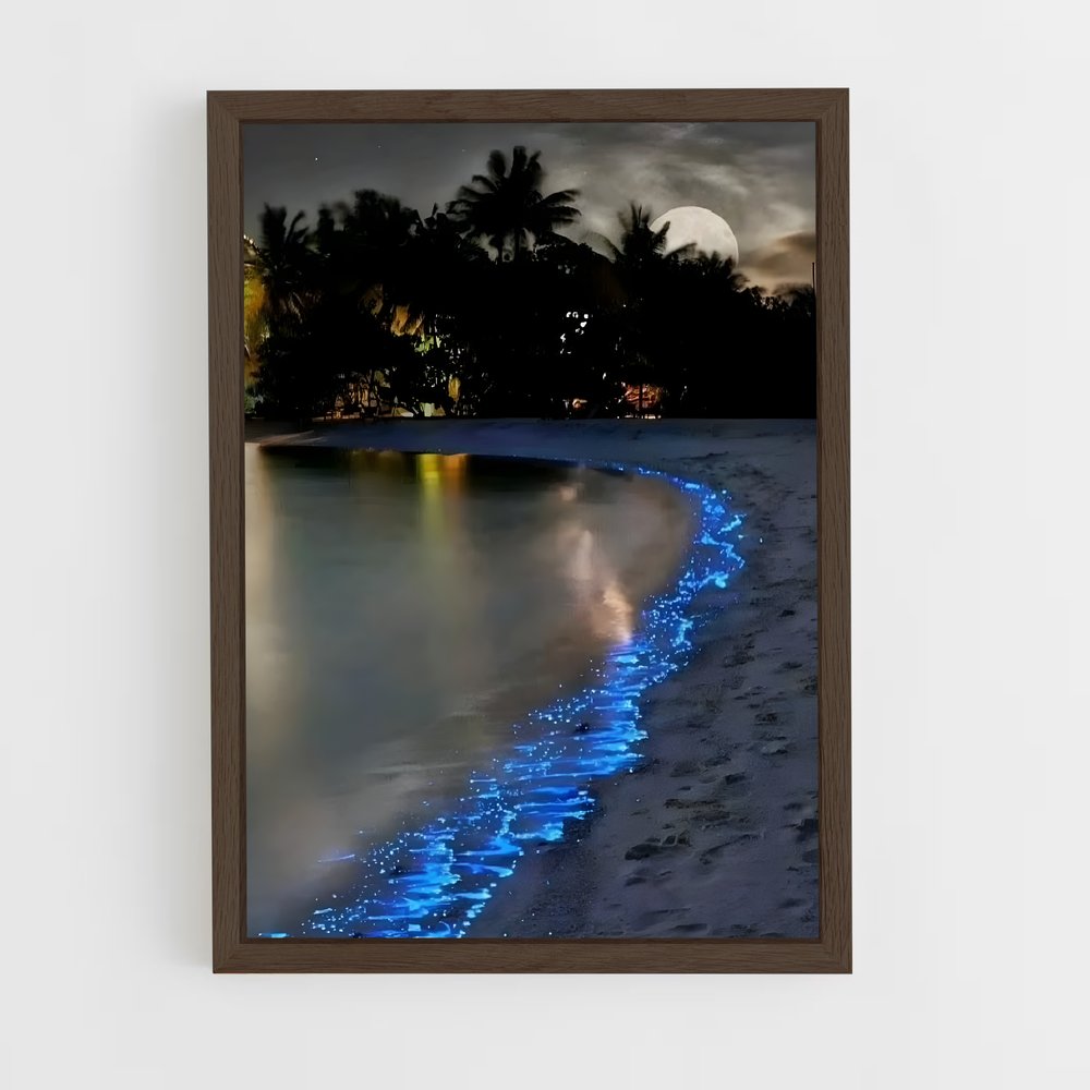 ap-bioluminescent beaches-8 cadre Bois foncé
