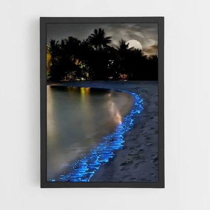ap-bioluminescent beaches-8 cadre Noir