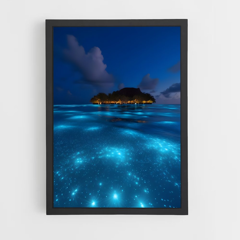 ap-bioluminescent beaches-9 cadre Noir