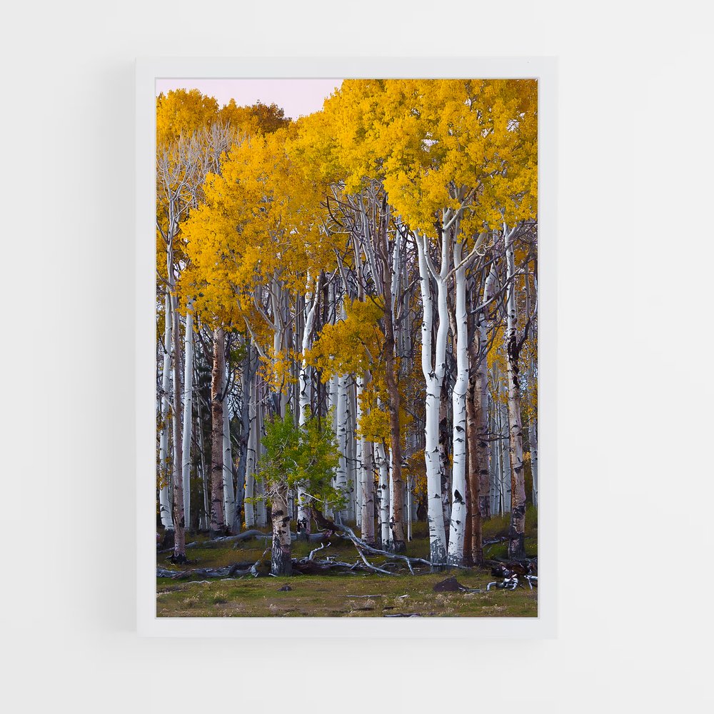 ap-birch-2 cadre Blanc