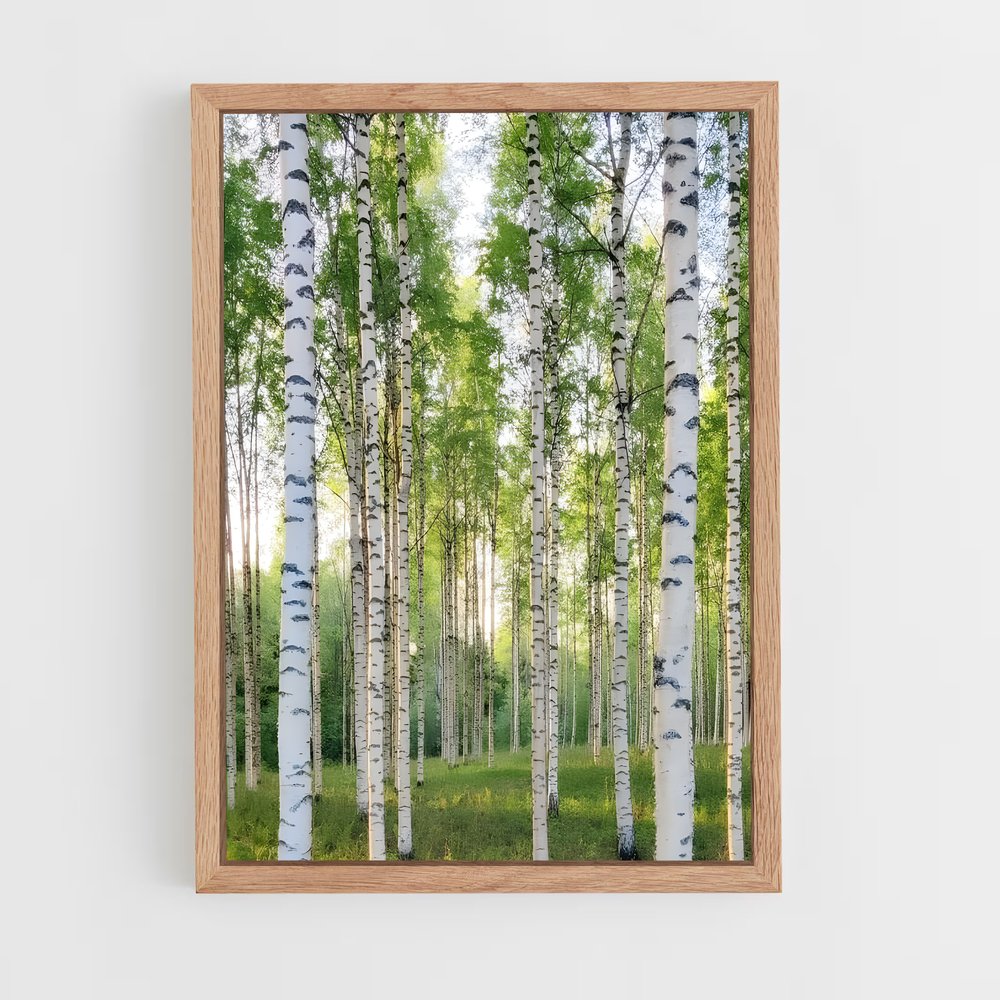 ap-birch-8 cadre Bois clair