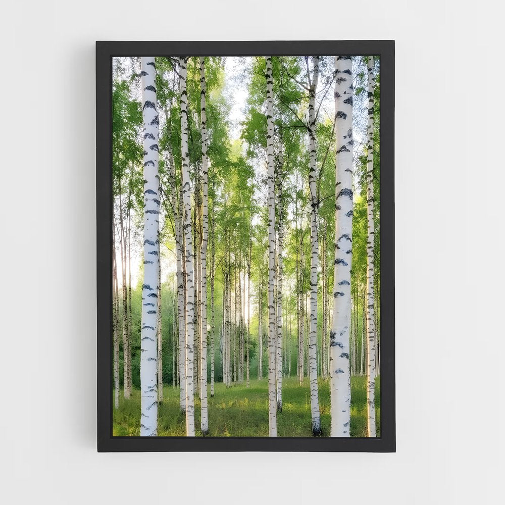 ap-birch-8 cadre Noir