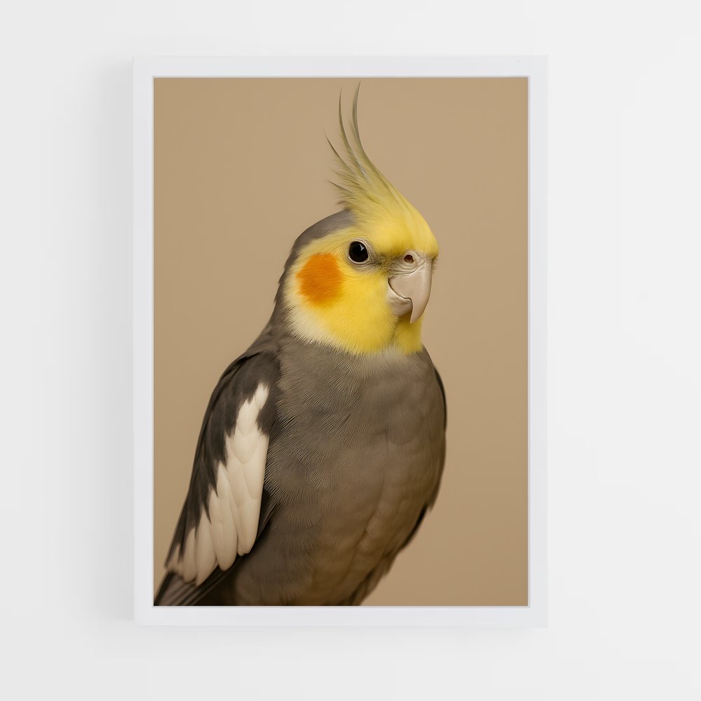 ap-bird-4 cadre Blanc