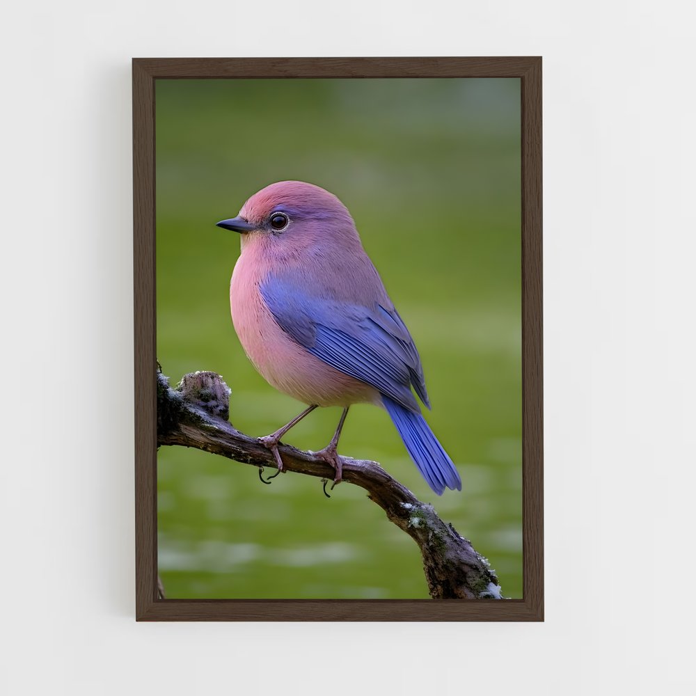 ap-bird-7 cadre Bois foncé