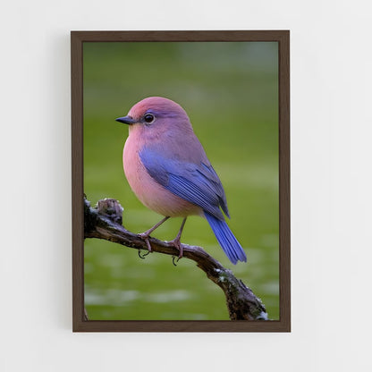ap-bird-7 cadre Bois foncé