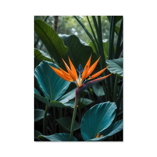 Poster Paradis Floréal