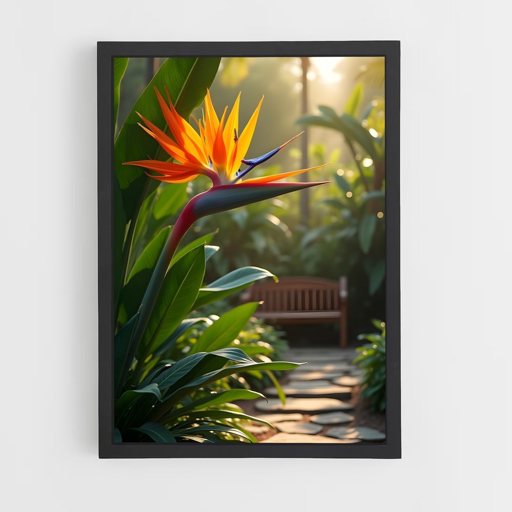 ap-bird of paradise-12 cadre Noir