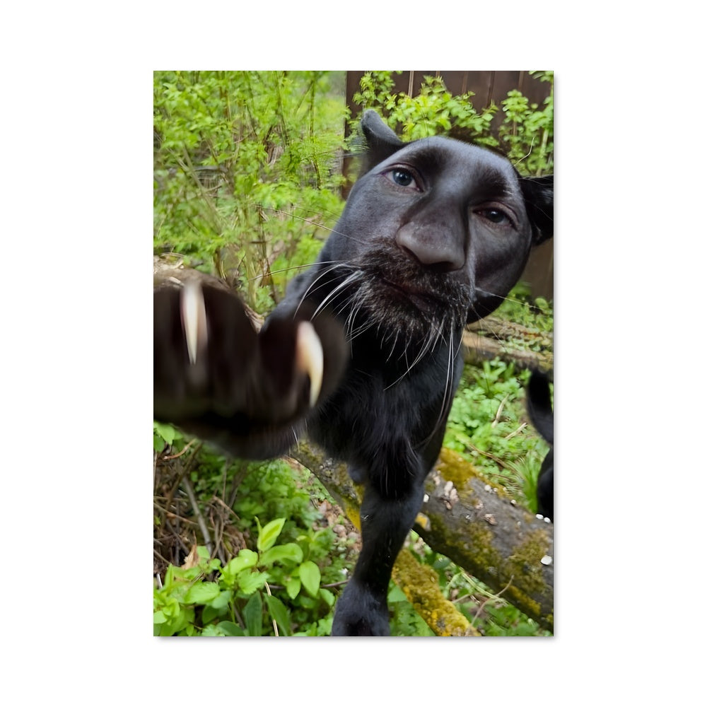 Poster Black panther 83160