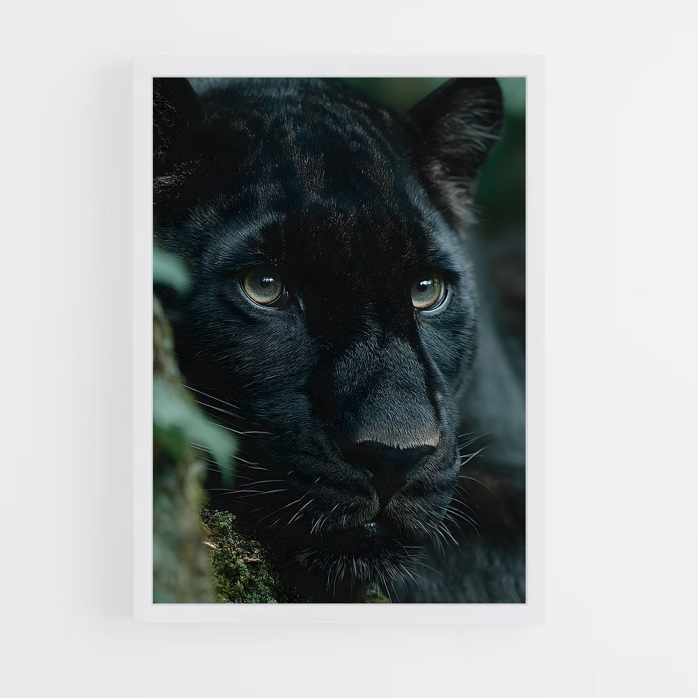 ap-black panther-19 cadre Blanc