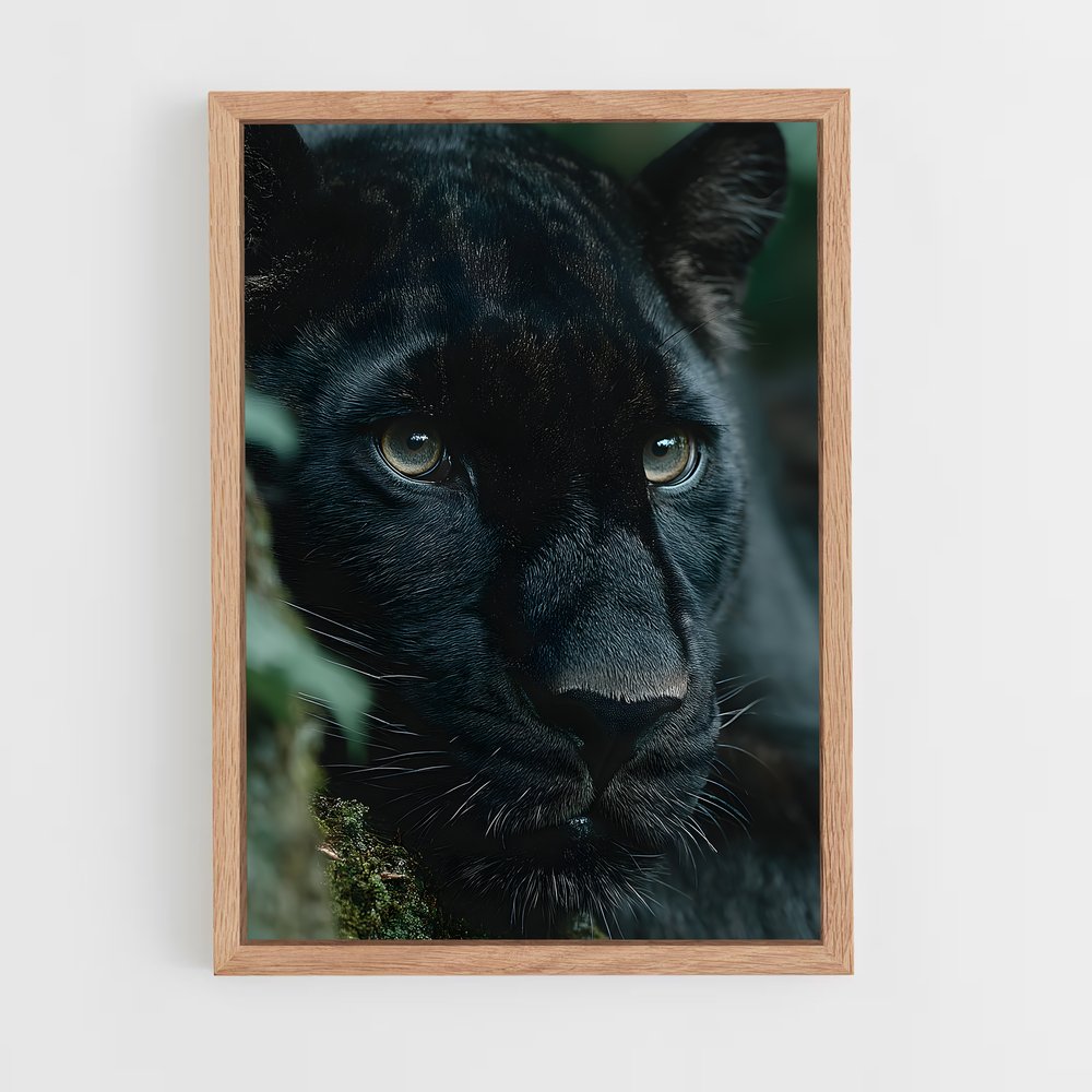ap-black panther-19 cadre Bois clair