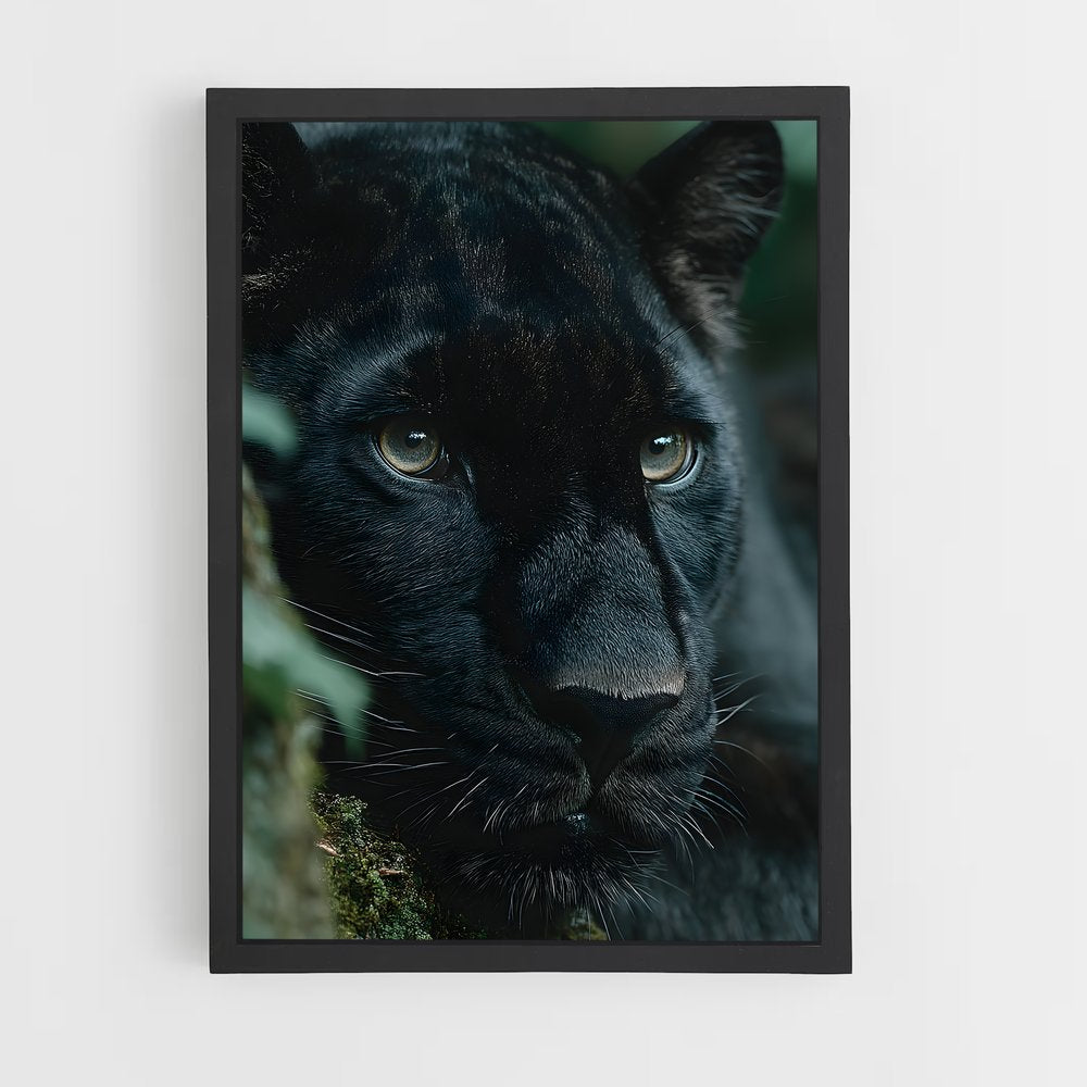ap-black panther-19 cadre Noir
