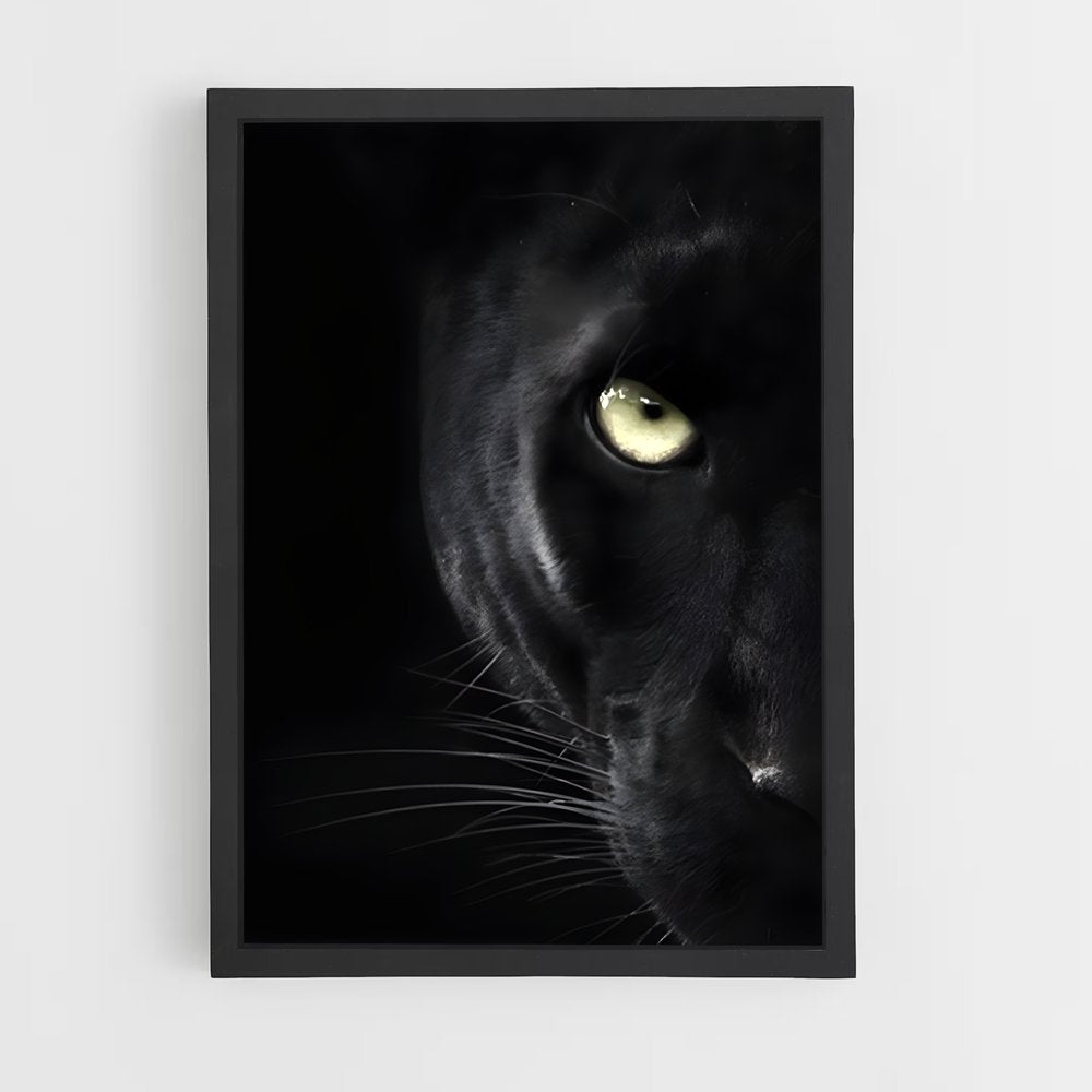 ap-black panther-23 cadre Noir