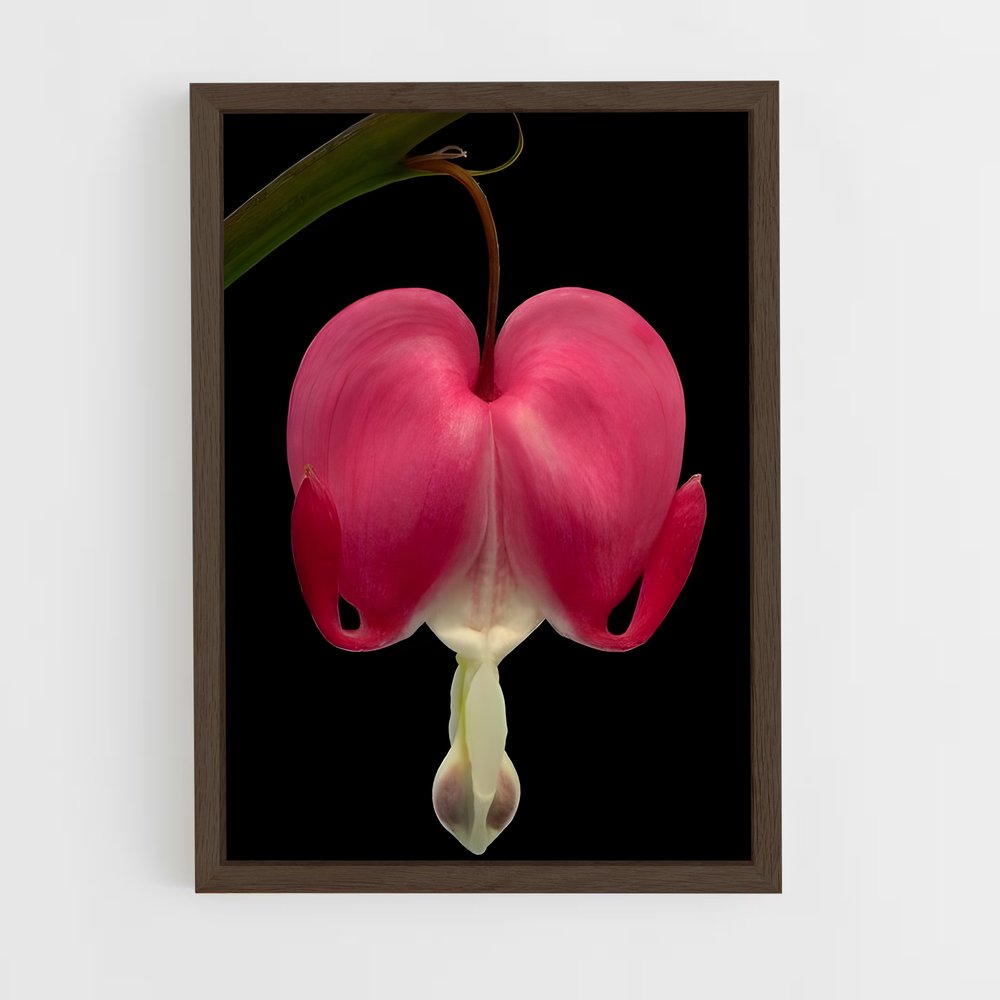 ap-bleeding heart-3 cadre Bois foncé