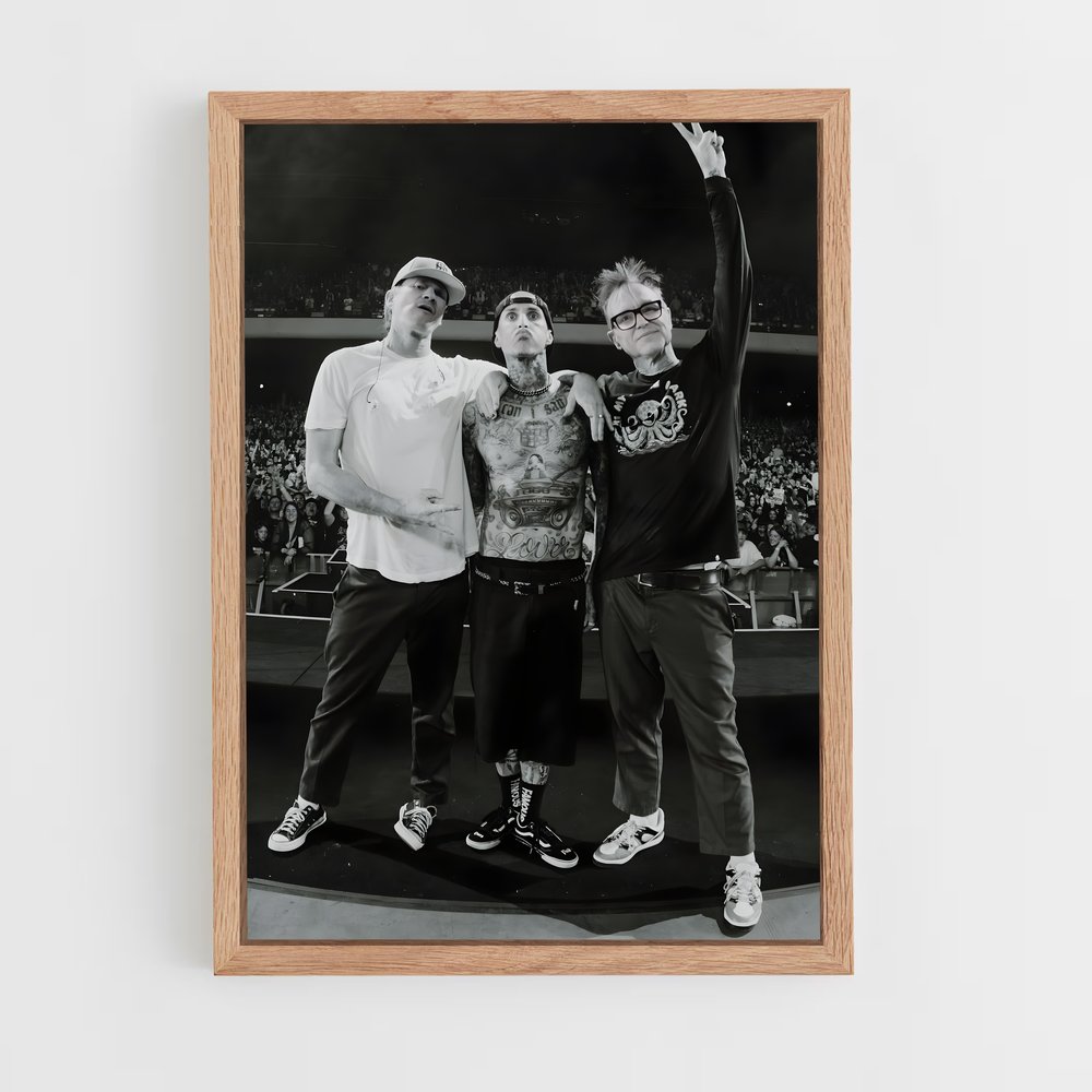 ap-blink-182-1 cadre Bois clair