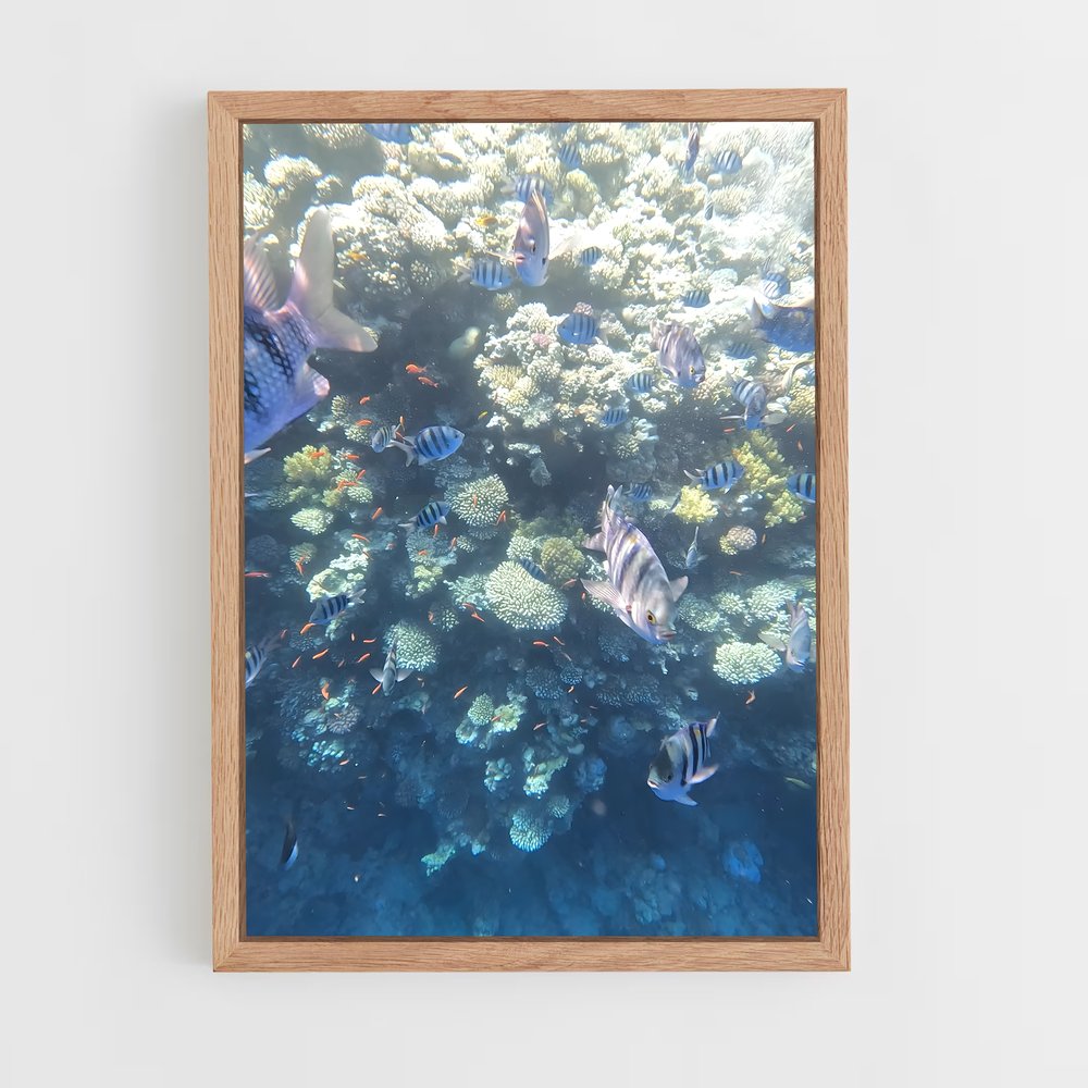 ap-blue hole dahab egypt-2 cadre Bois clair