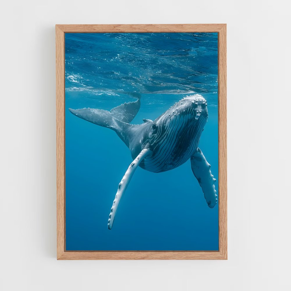 ap-blue whale-1 cadre Bois clair