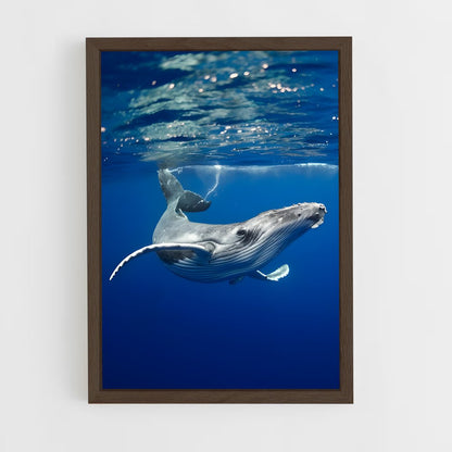 ap-blue whale-4 cadre Bois foncé