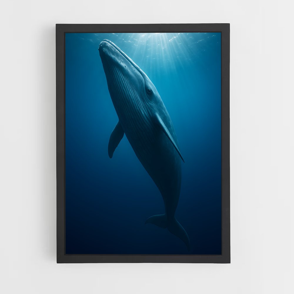 ap-blue whale-6 cadre Noir
