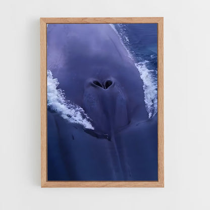 ap-blue whale-7 cadre Bois clair