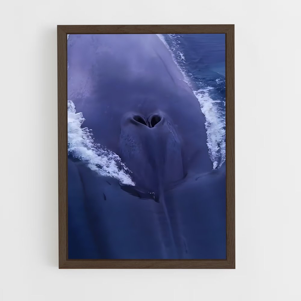 ap-blue whale-7 cadre Bois foncé