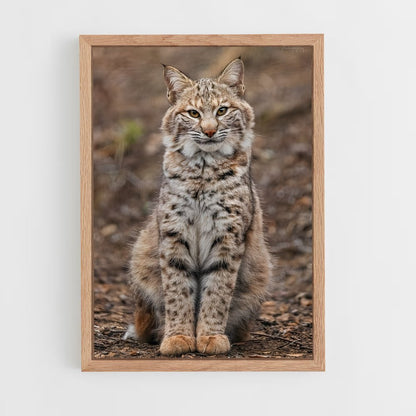 ap-bobcat-1 cadre Bois clair