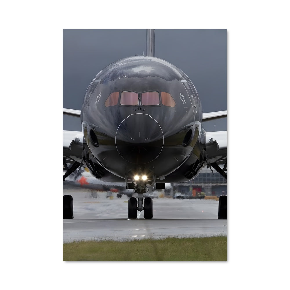 Poster Takeoff Majestueux