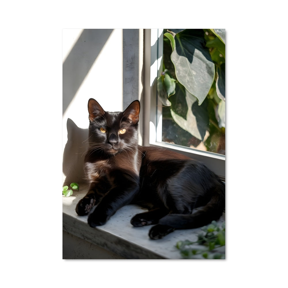 Poster Chat de Bombay