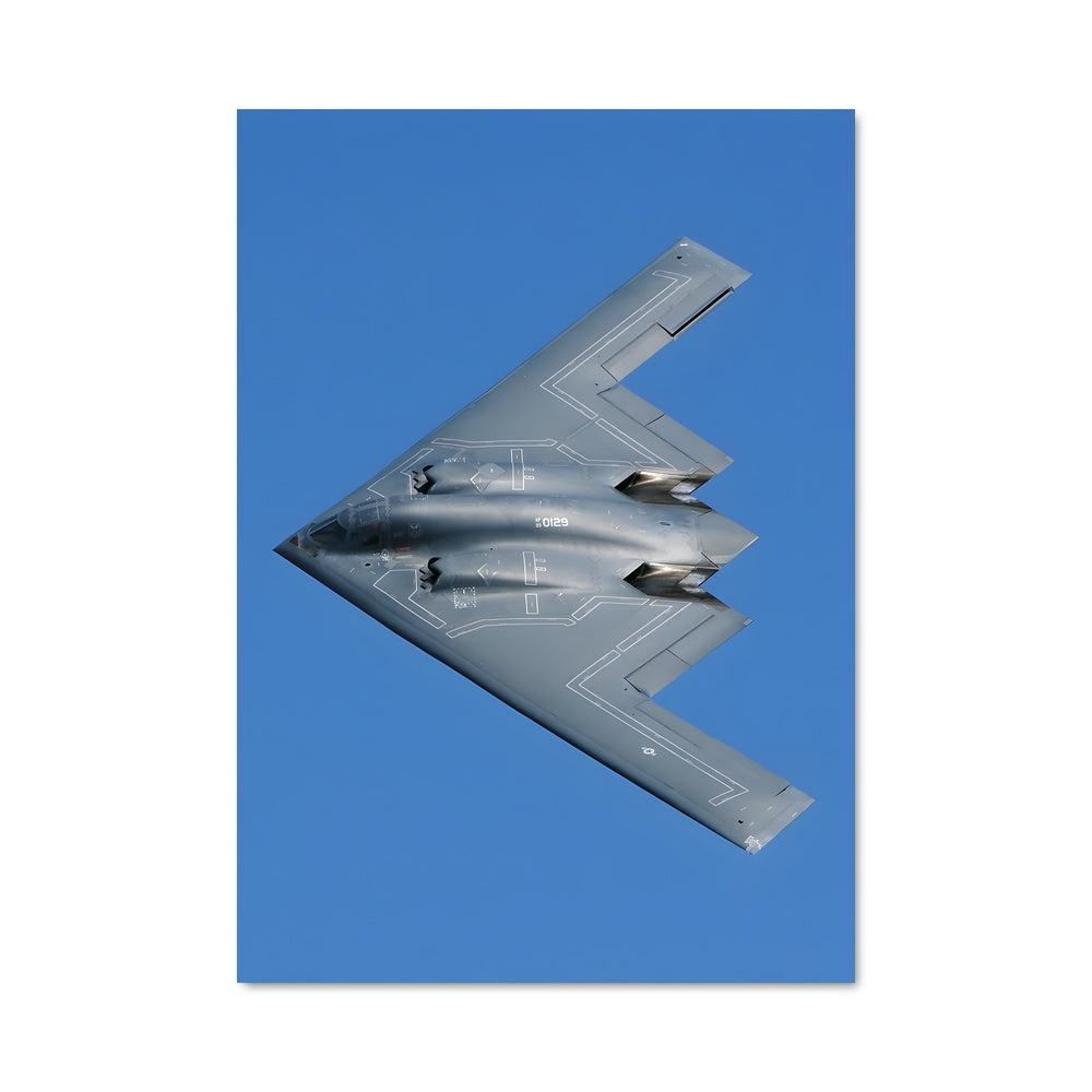 Poster Vol de Furtivité