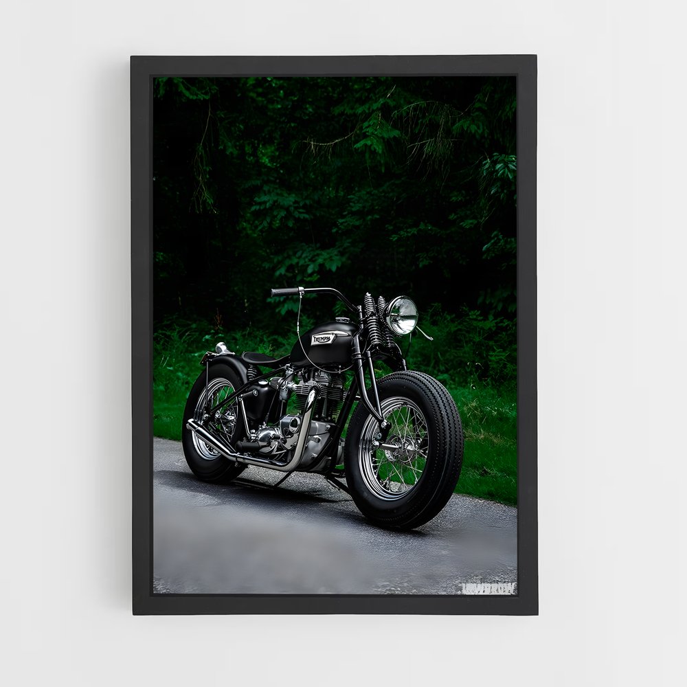 ap-bonneville bobber-1 cadre Noir