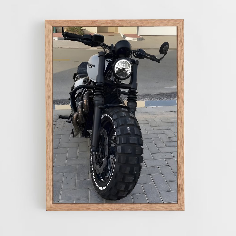 ap-bonneville t100-2 cadre Bois clair