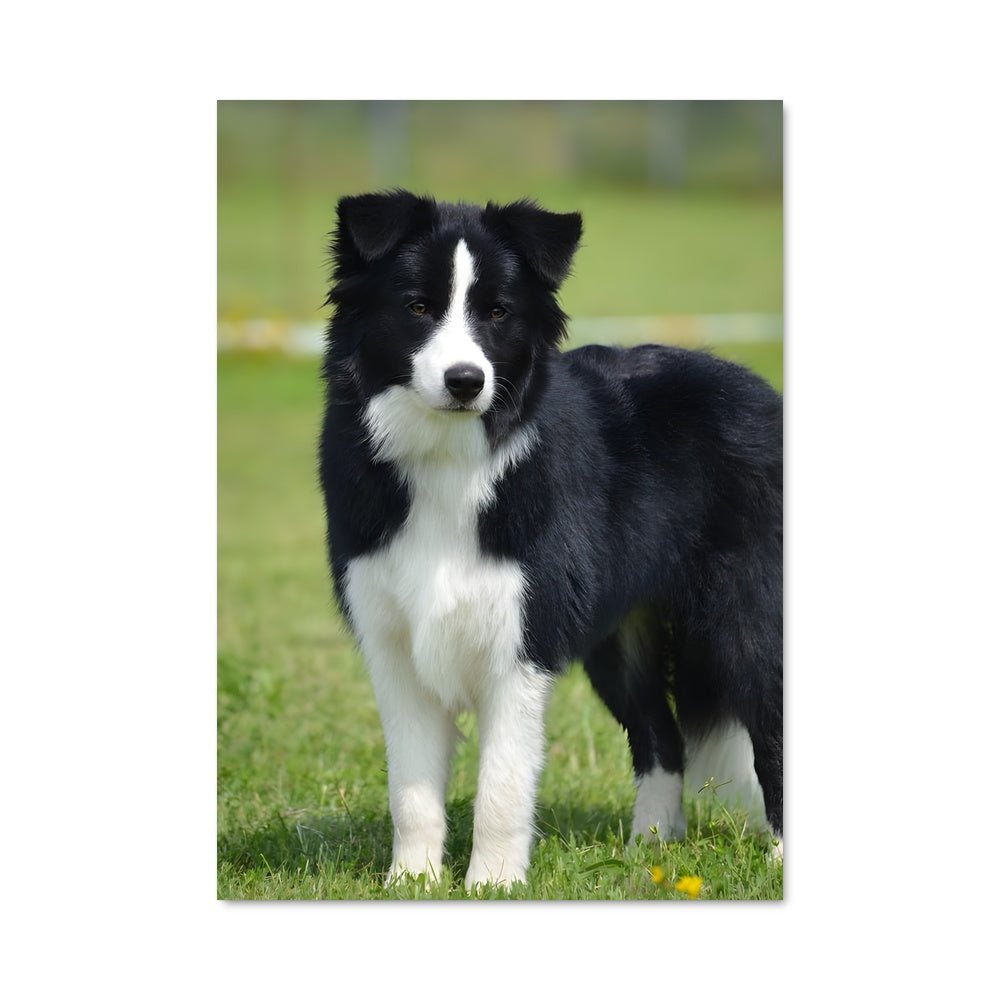 Poster Gardien des Champs