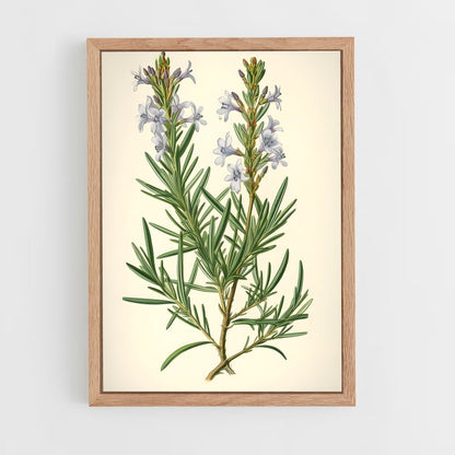 ap-botanical-8 cadre Bois clair