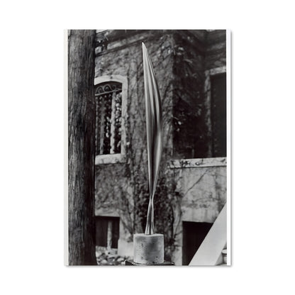 Poster Oiseau dans l'Espace