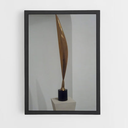 ap-brancusi bird in space-6 cadre Noir